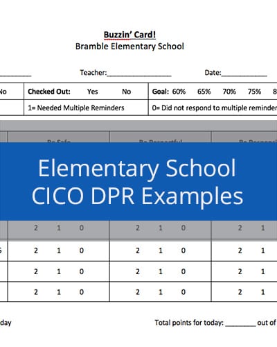 Elementary School CICO DPR Examples