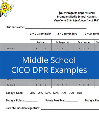 Middle School CICO DPR Examples