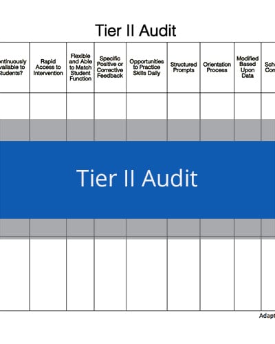 Tier II Audit