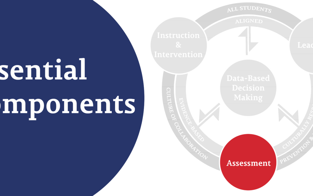 Essential Components – Assessments